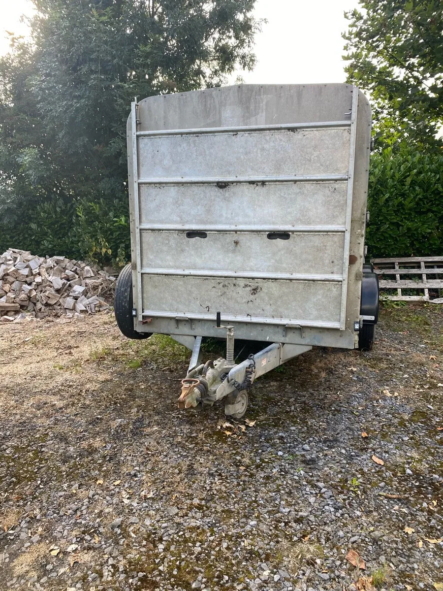 Ivor Williams cattle trailer - Image 3