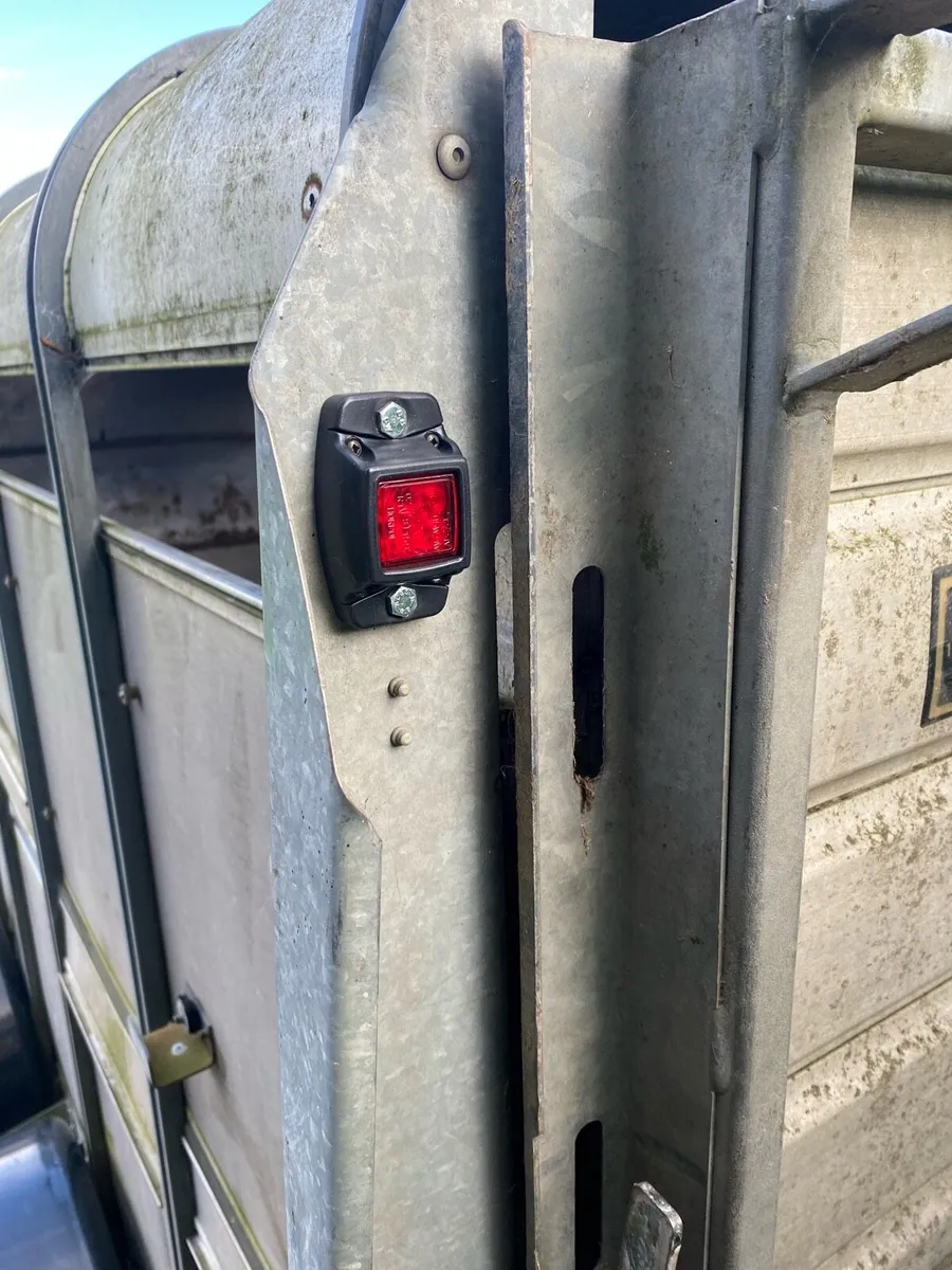 Ivor Williams cattle trailer - Image 4