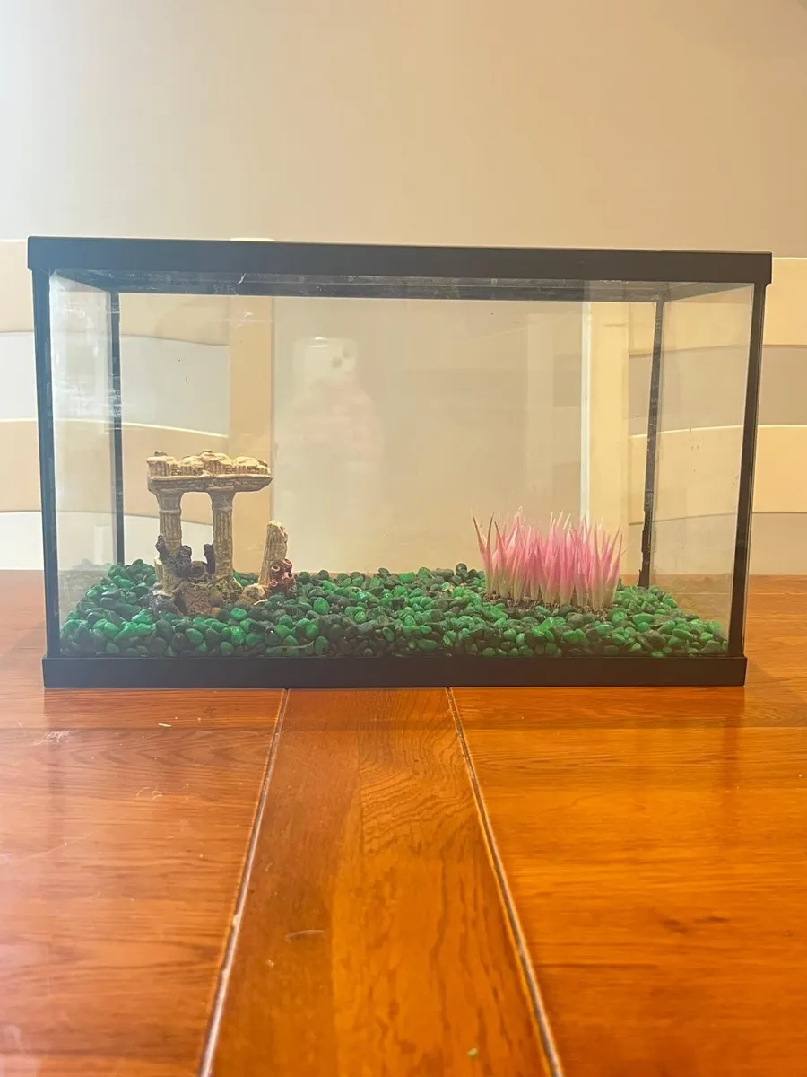 20 litre fish tank - Image 1