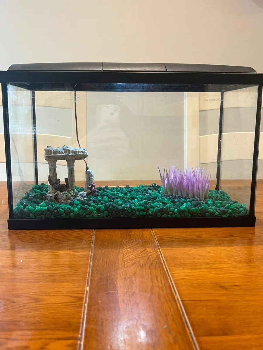 20 litre fish tank - Image 2