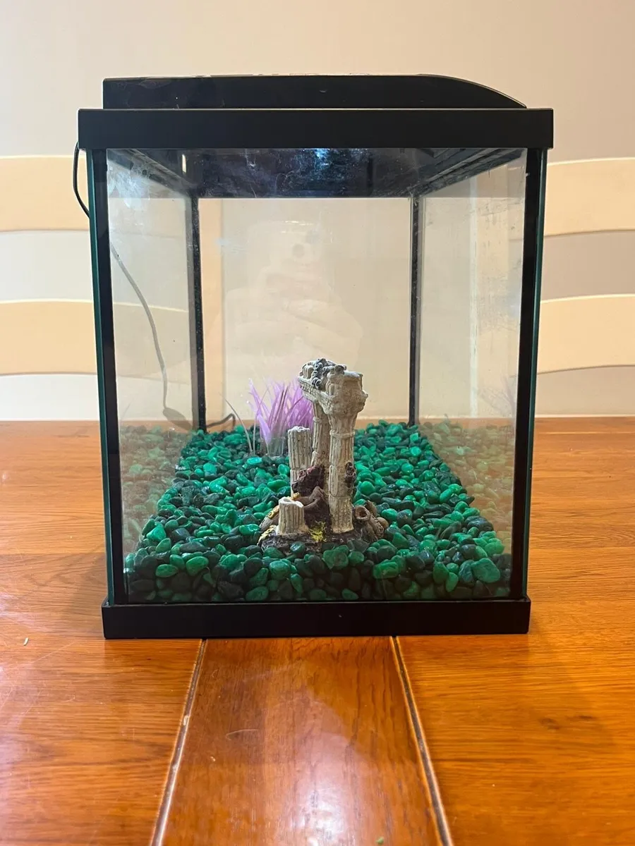 20 litre fish tank - Image 3