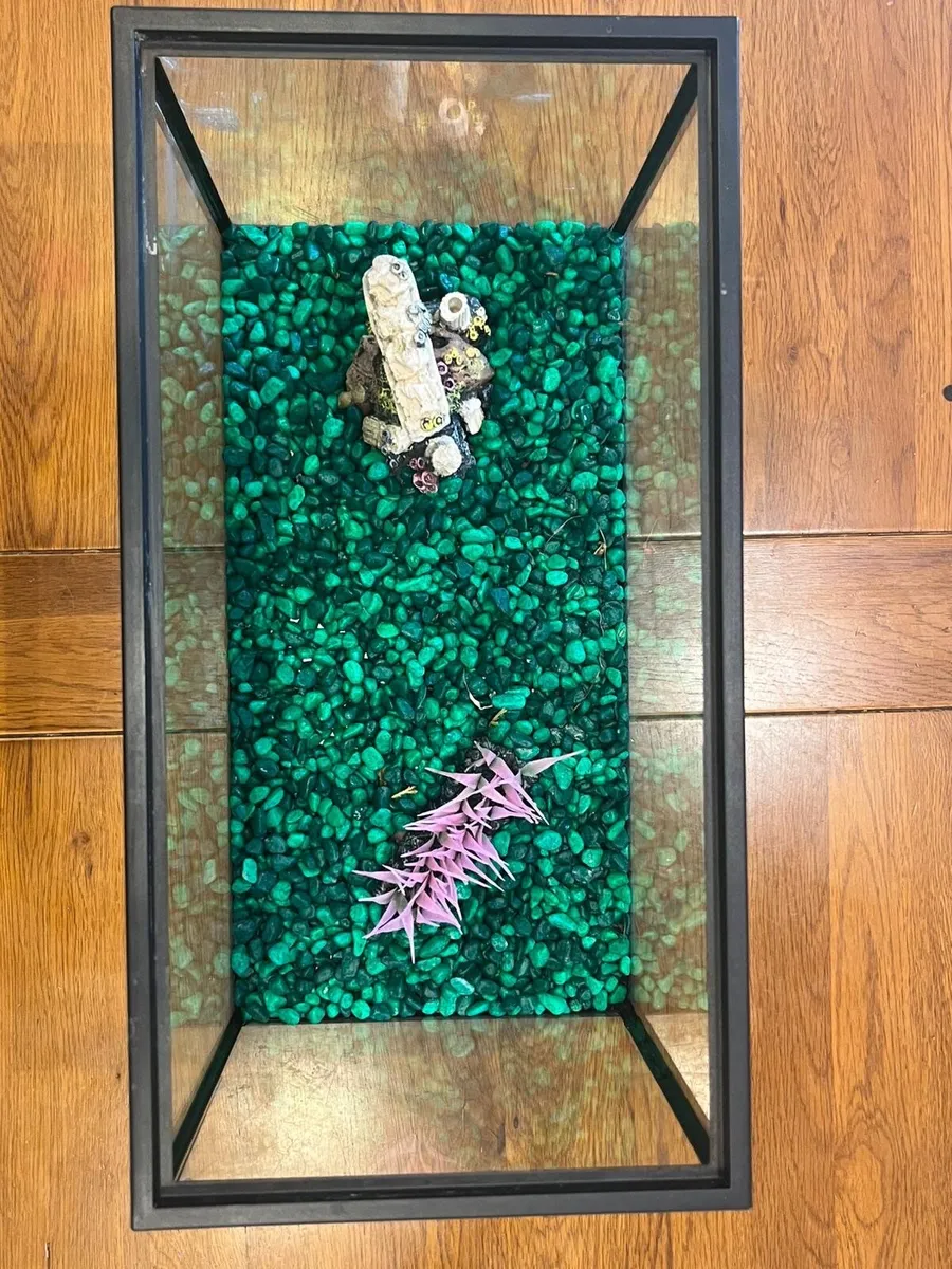 20 litre fish tank - Image 4