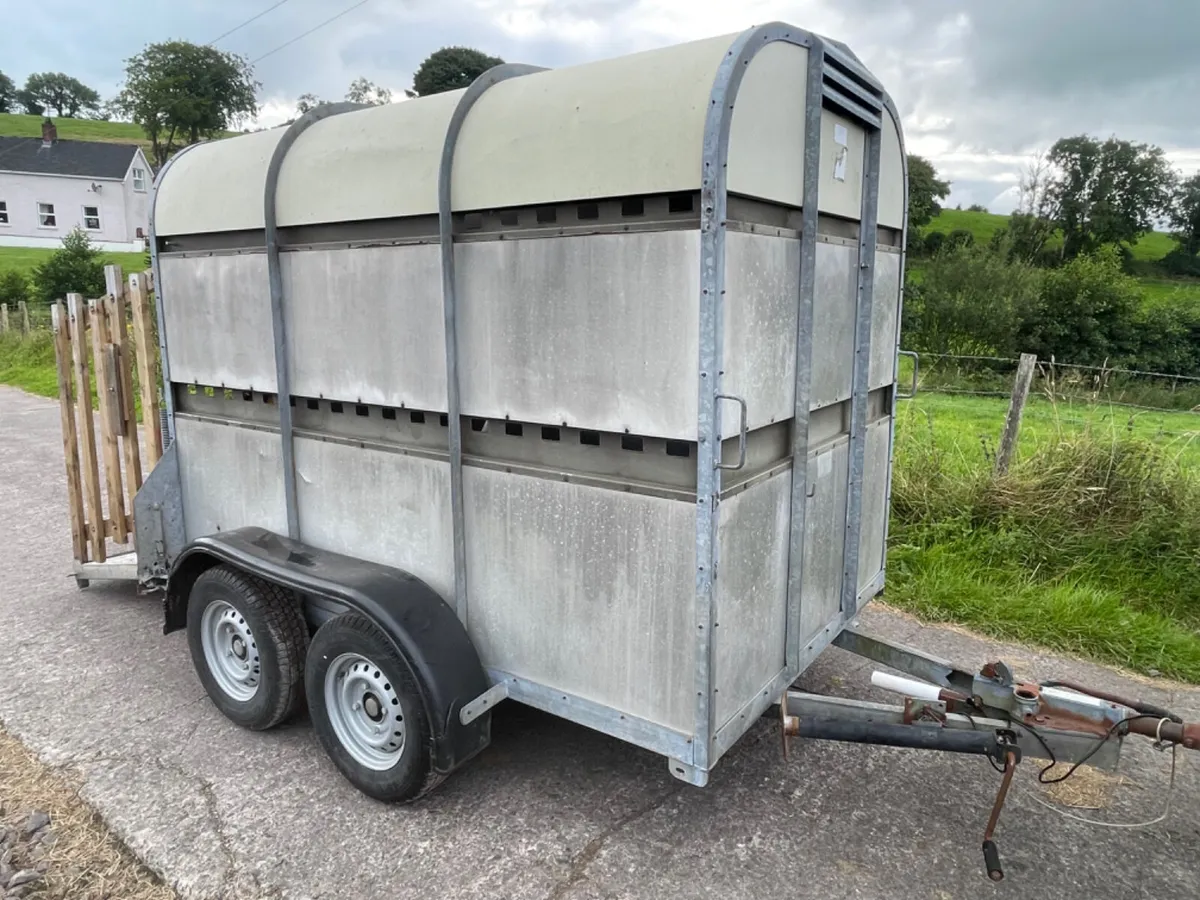 Bateson 8x5 cattle trailer - Image 2