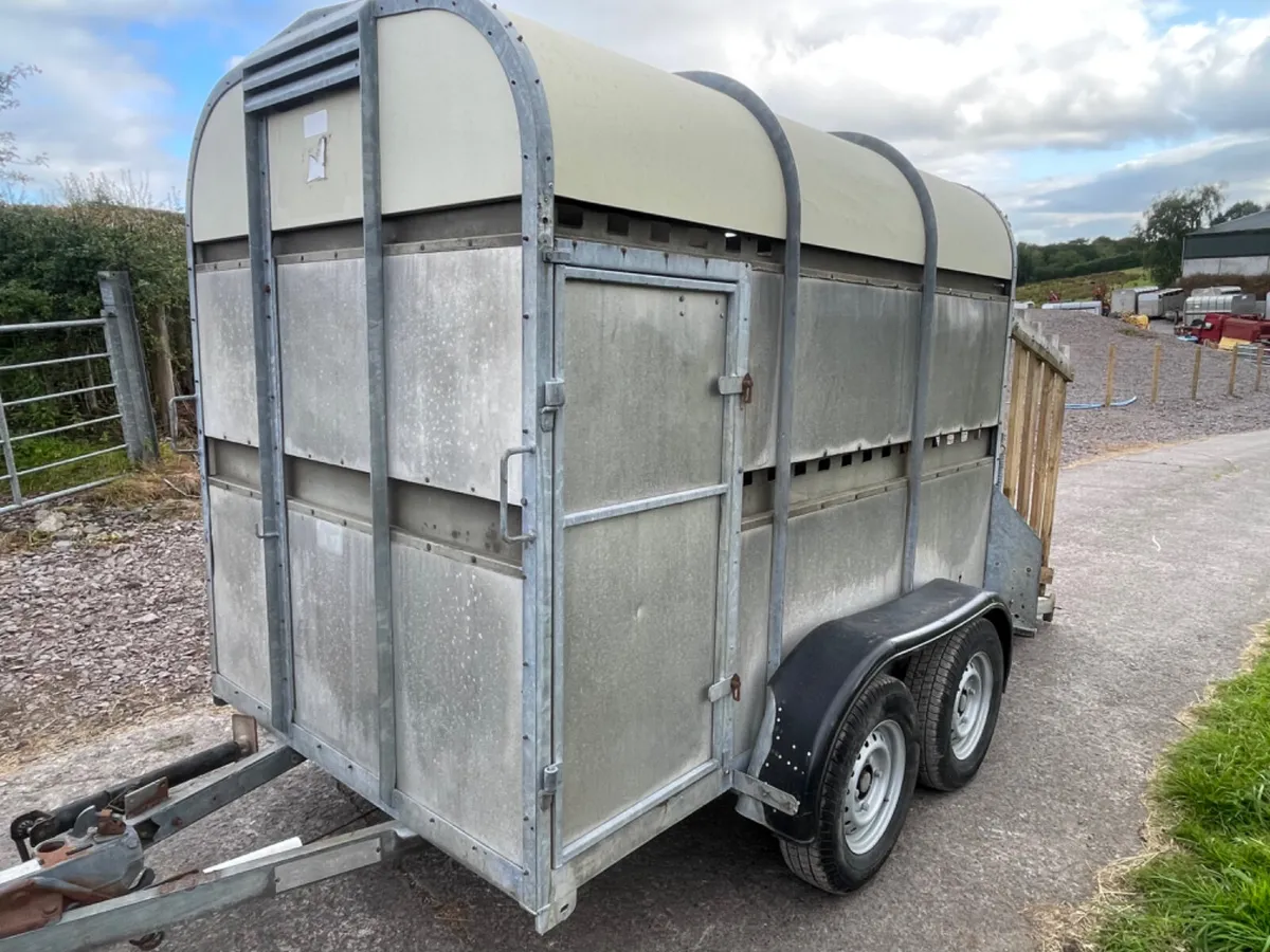 Bateson 8x5 cattle trailer - Image 1