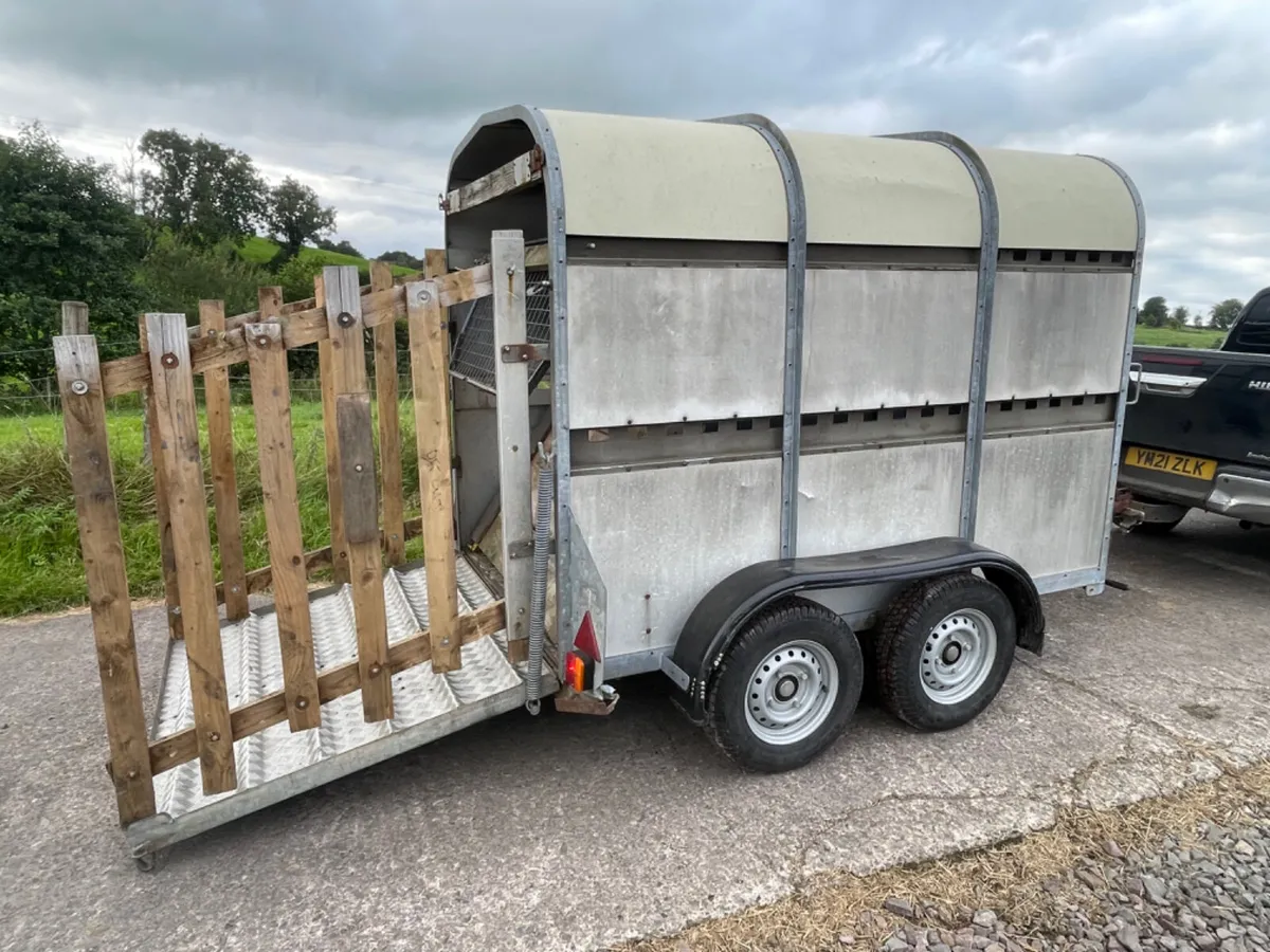Bateson 8x5 cattle trailer - Image 3