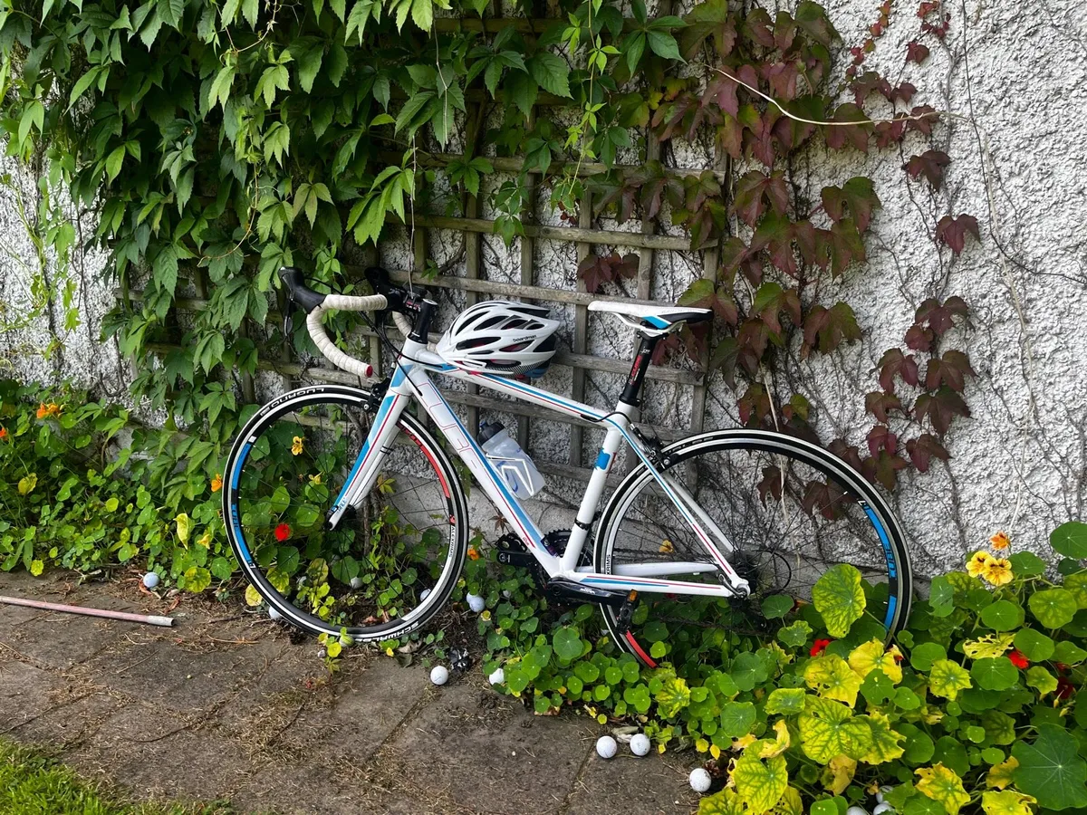 Ladies Road Bike - Image 3