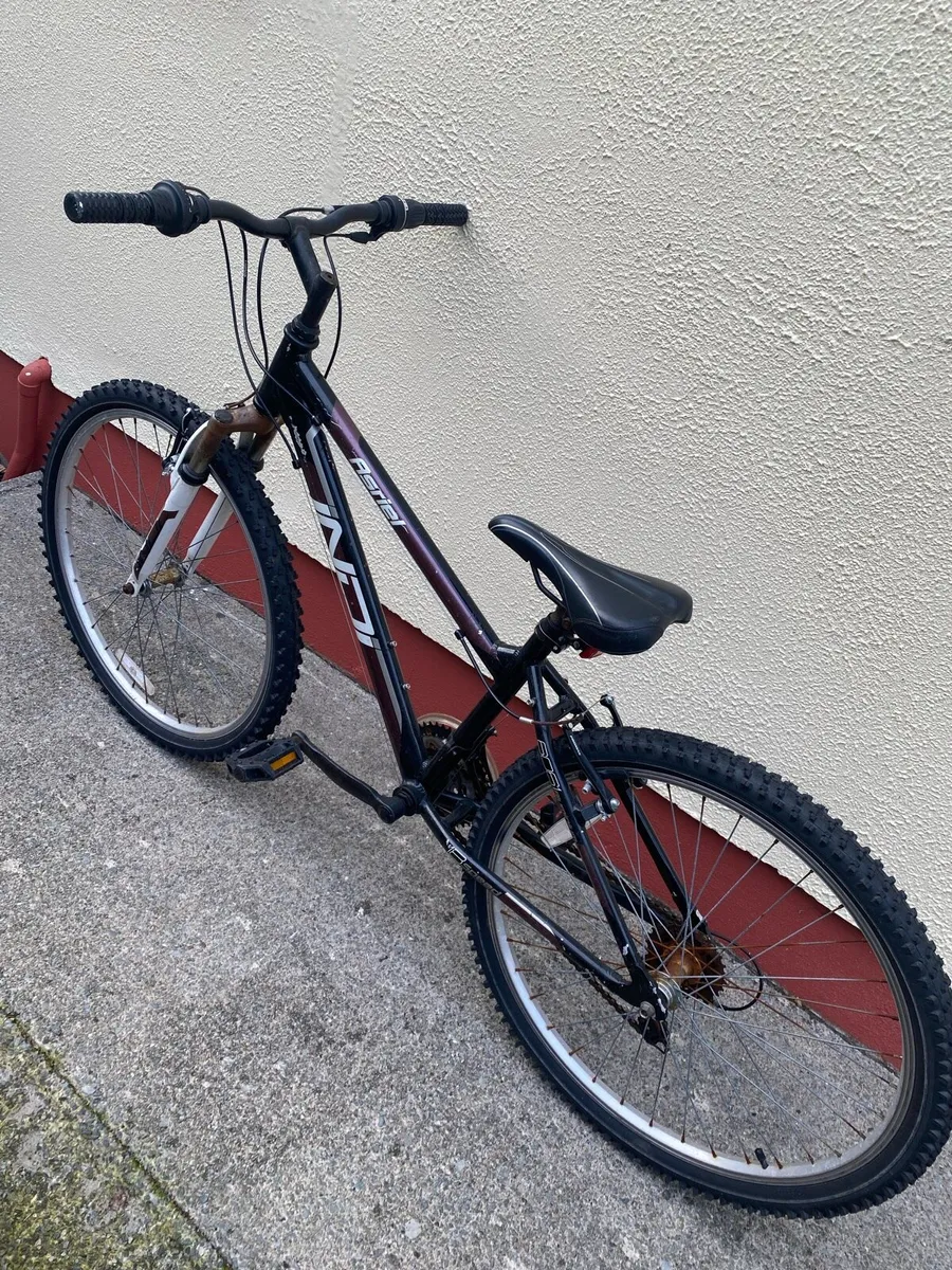 Bicycle