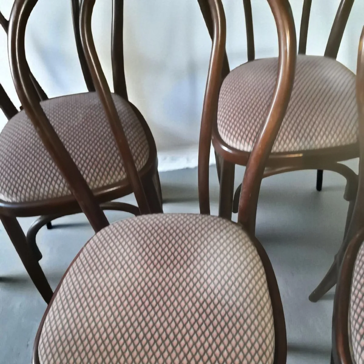 4 sturdy bentwood chairs - Image 3