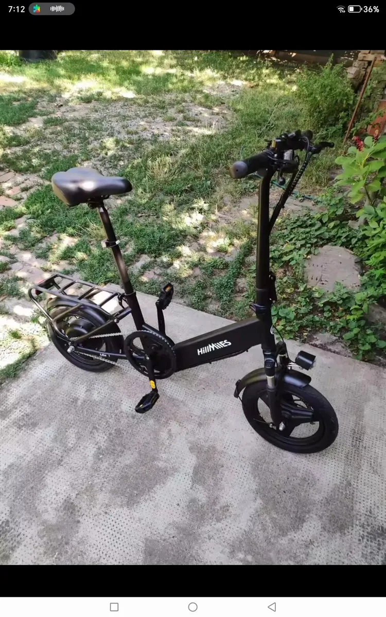 e bike 250W electric bike