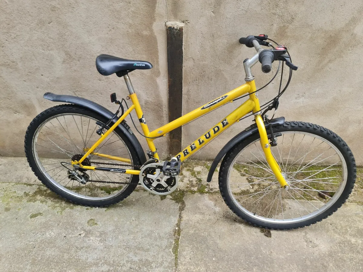 Girls Bicycles For Sale! - Image 4