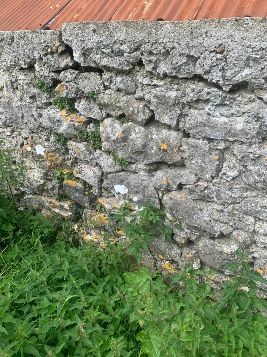 Farmyard stone - Image 1