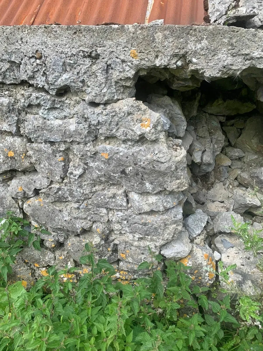 Farmyard stone - Image 2