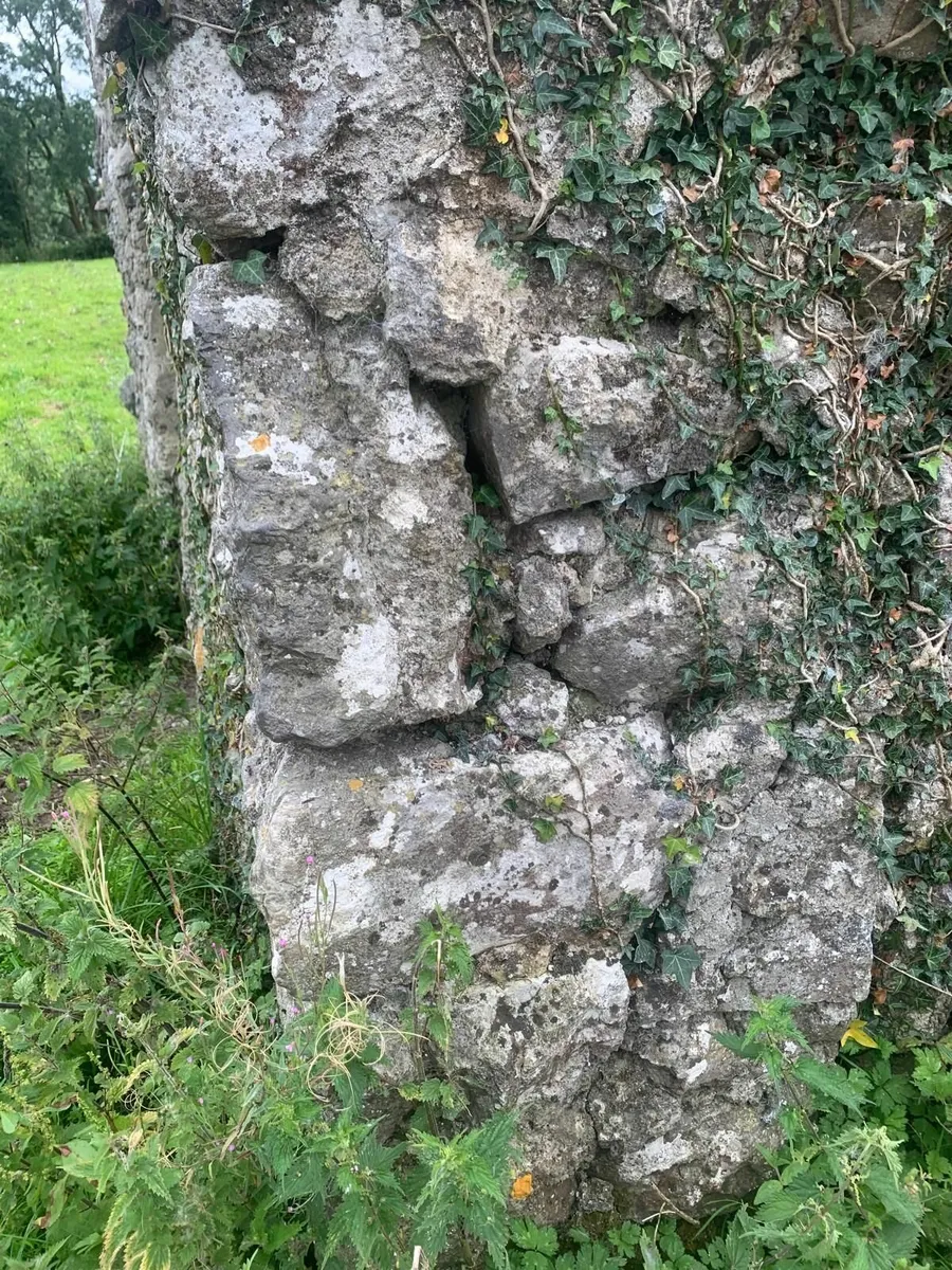 Farmyard stone - Image 4