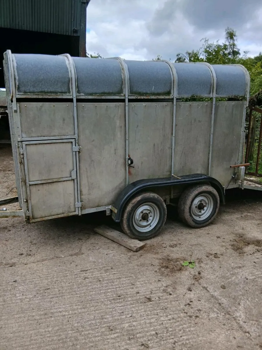 Cattle trailer - Image 1