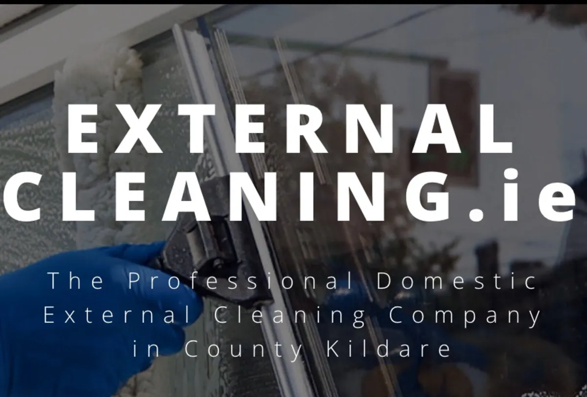 External Cleaning  Website and Domain