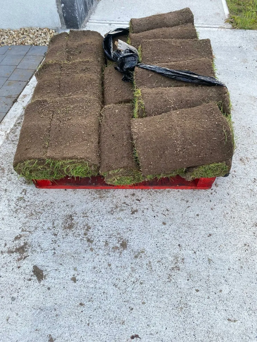 Lawn Turf