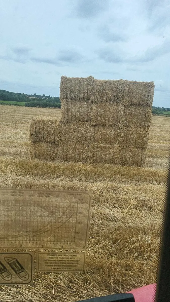 Straw - Image 2