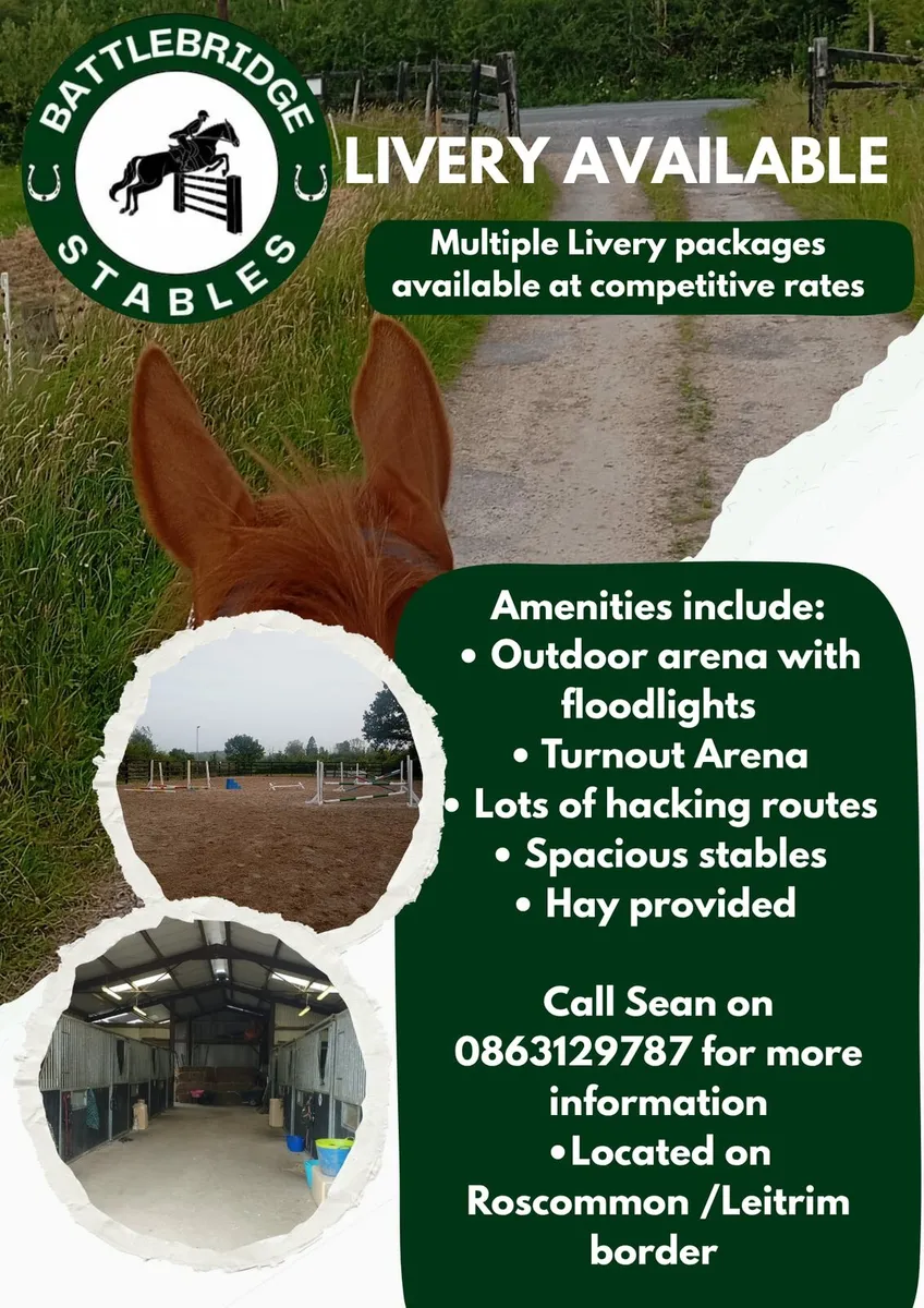 Livery available - Image 1