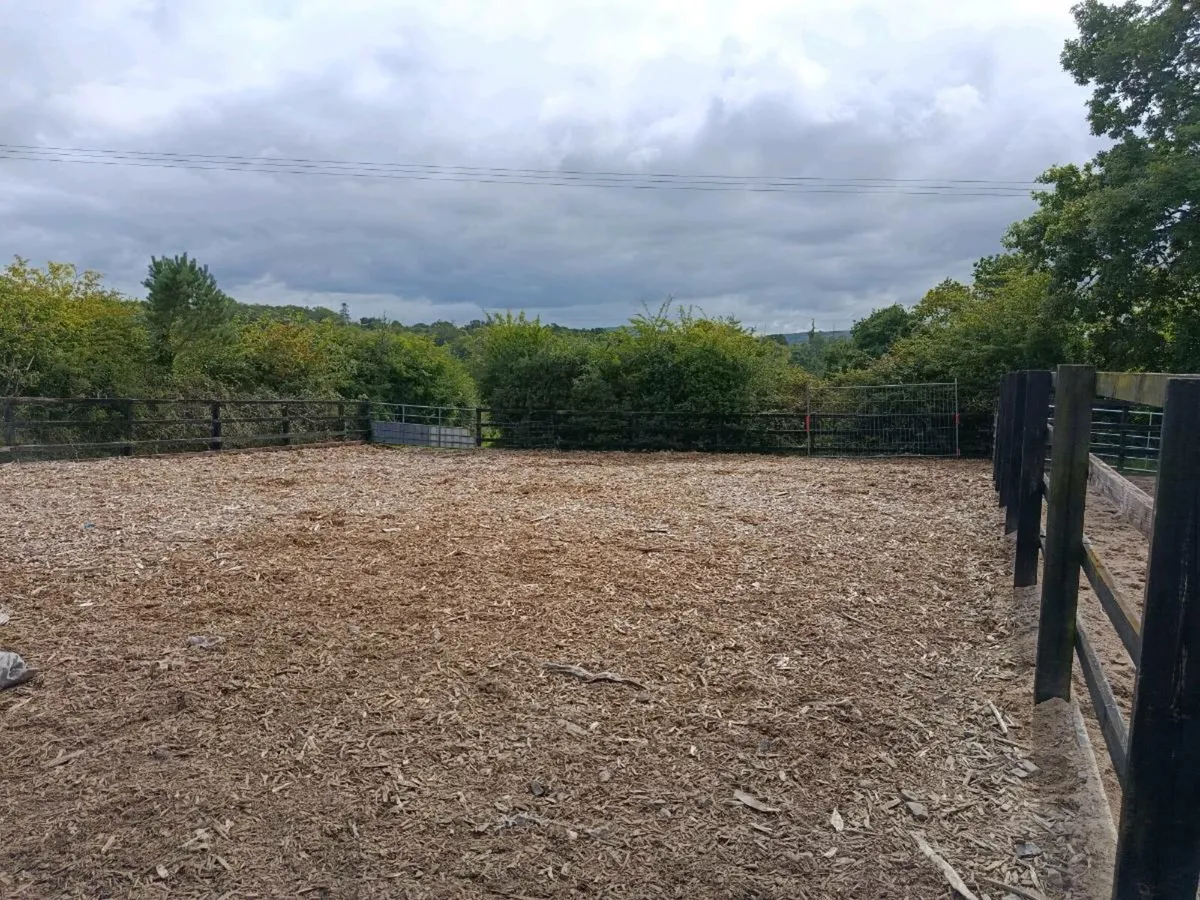 Livery available - Image 3