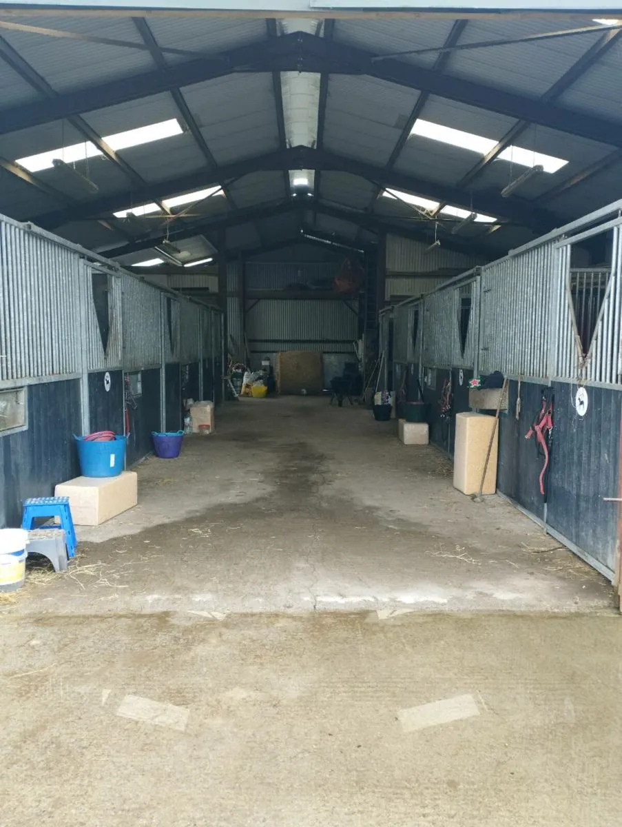 Livery available - Image 4
