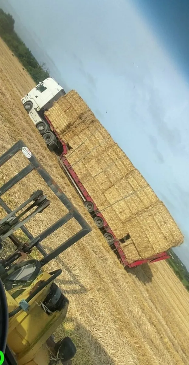 Straw - Image 4