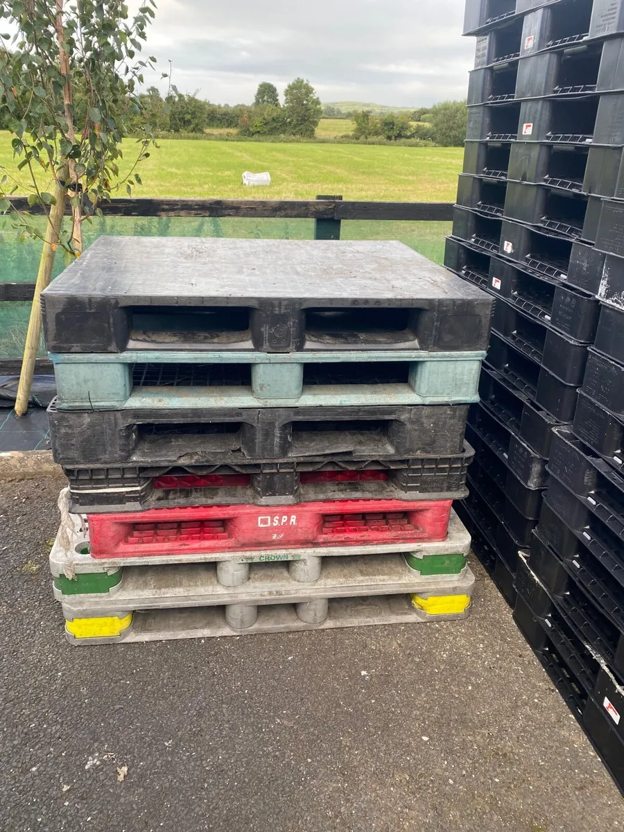 Mixed sizes heavy duty  plastic pallets - Image 1