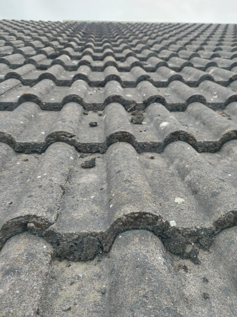 Roof tiles - Image 1