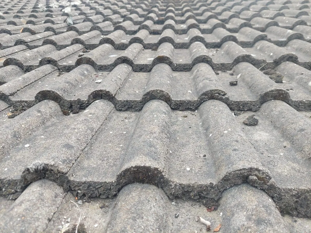 Roof tiles - Image 2