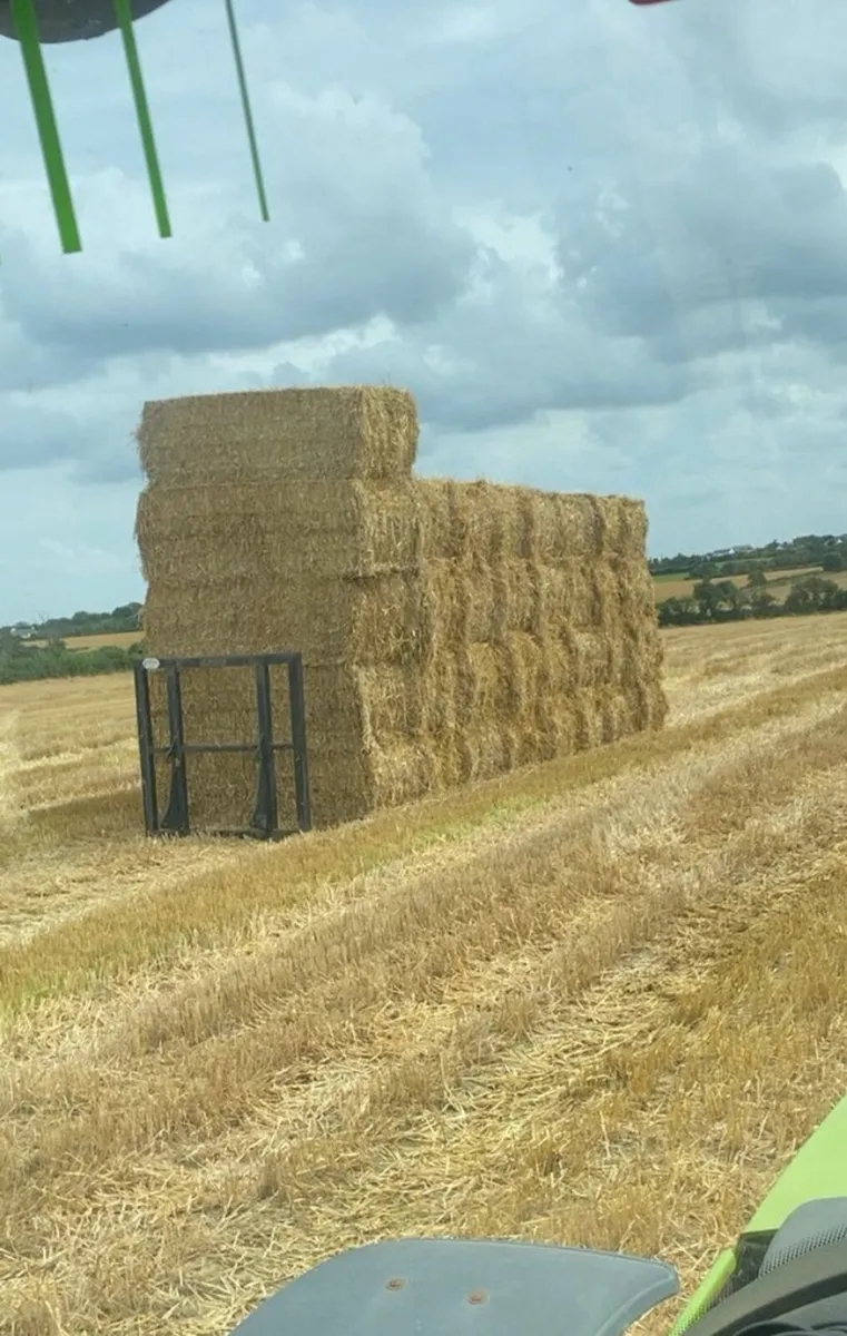 Straw - Image 1