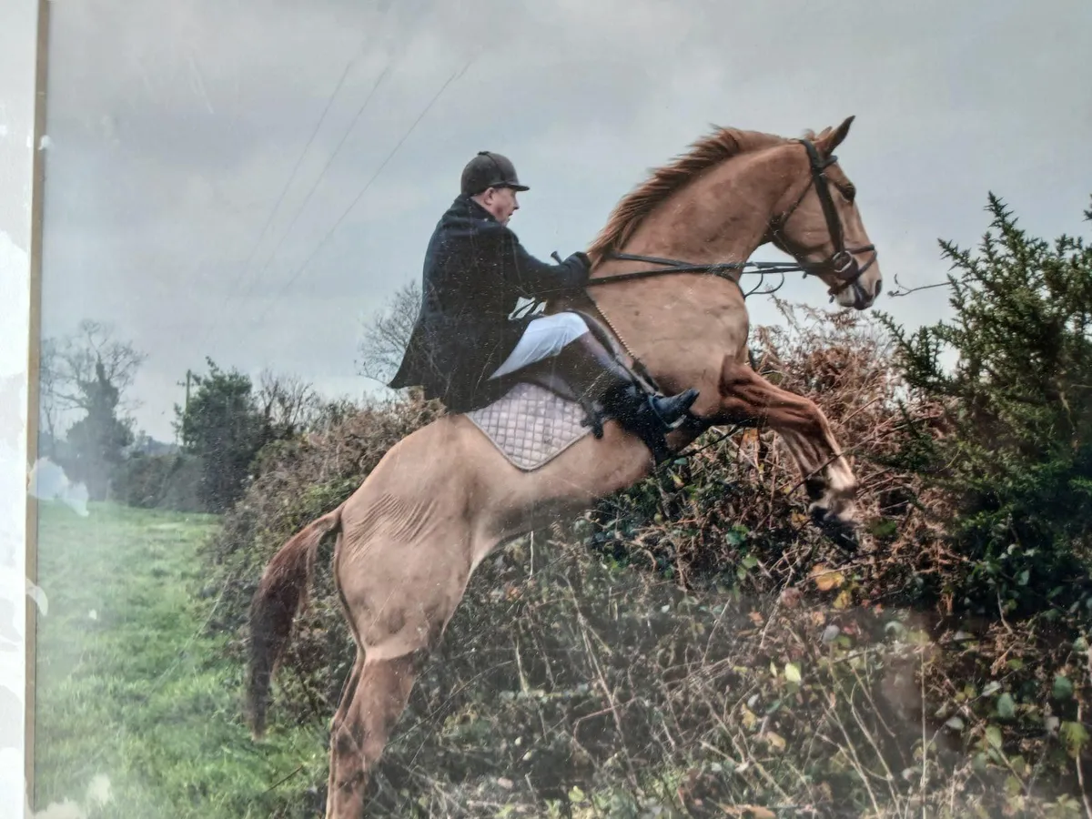 Hunting Horse - Image 1