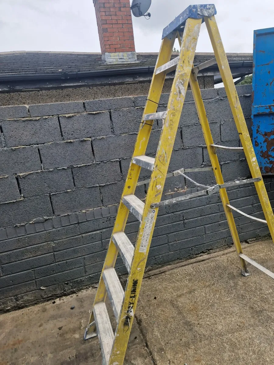 Ladder - Image 1