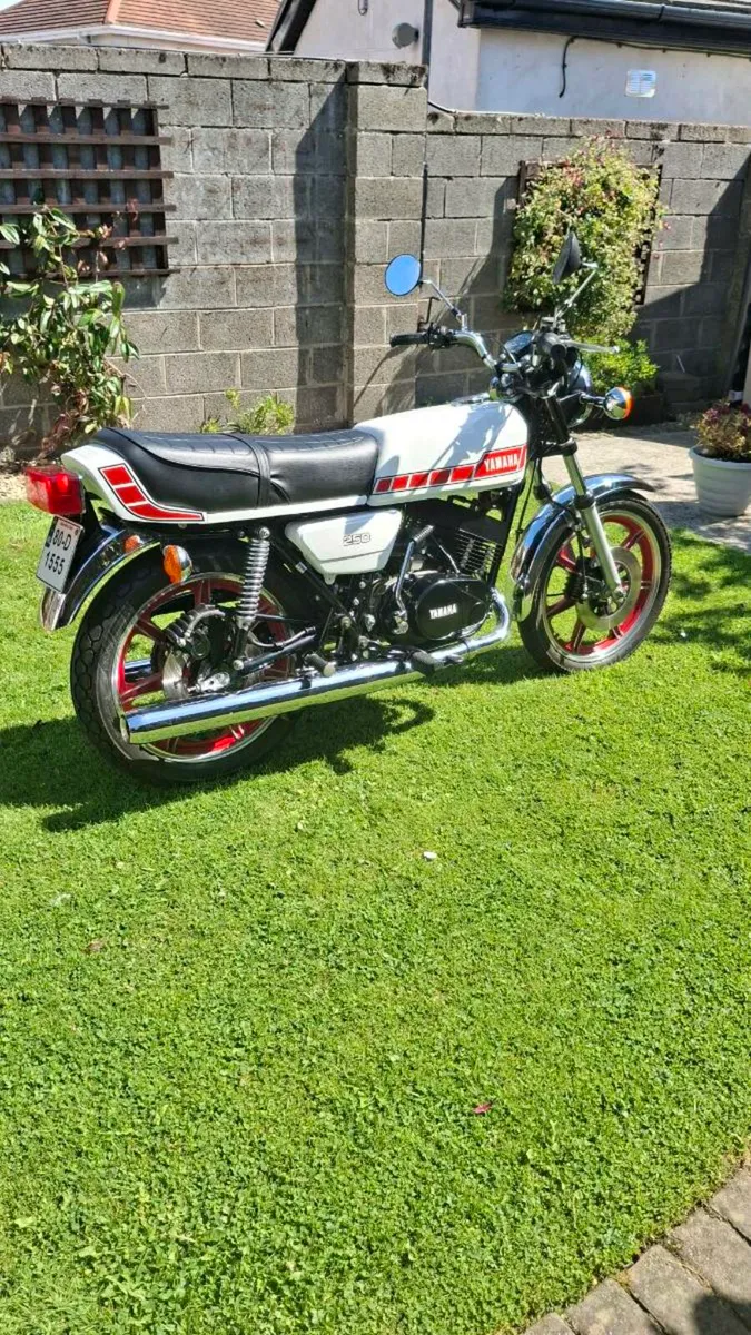 Yamaha RD 250 1980 - Image 4