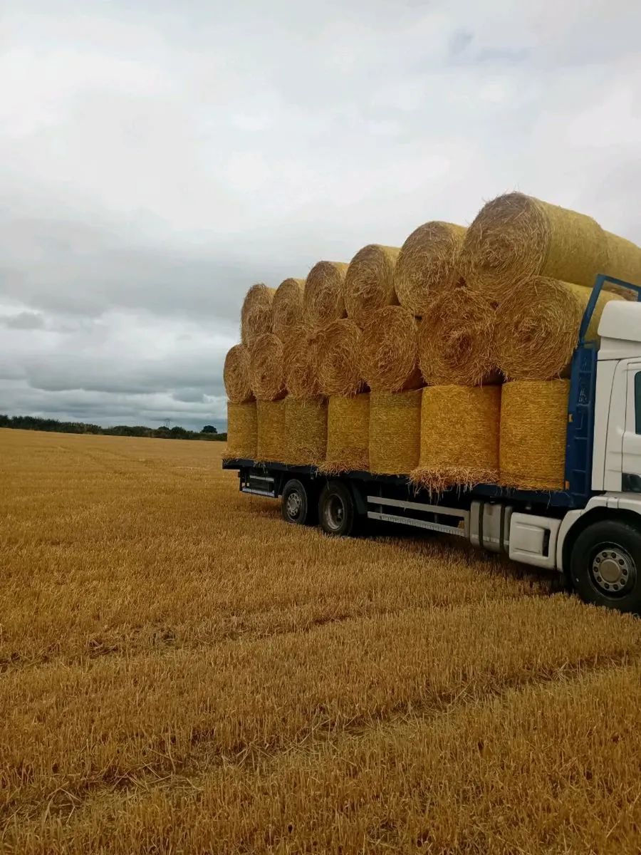 Straw/Hay For Sale - Image 1