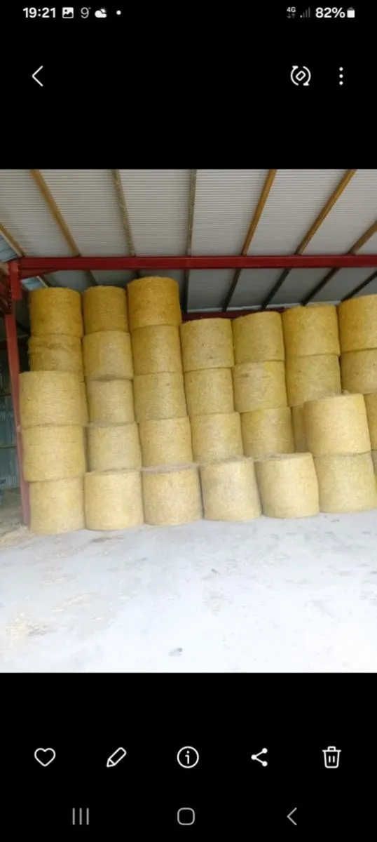 Straw/Hay For Sale - Image 2
