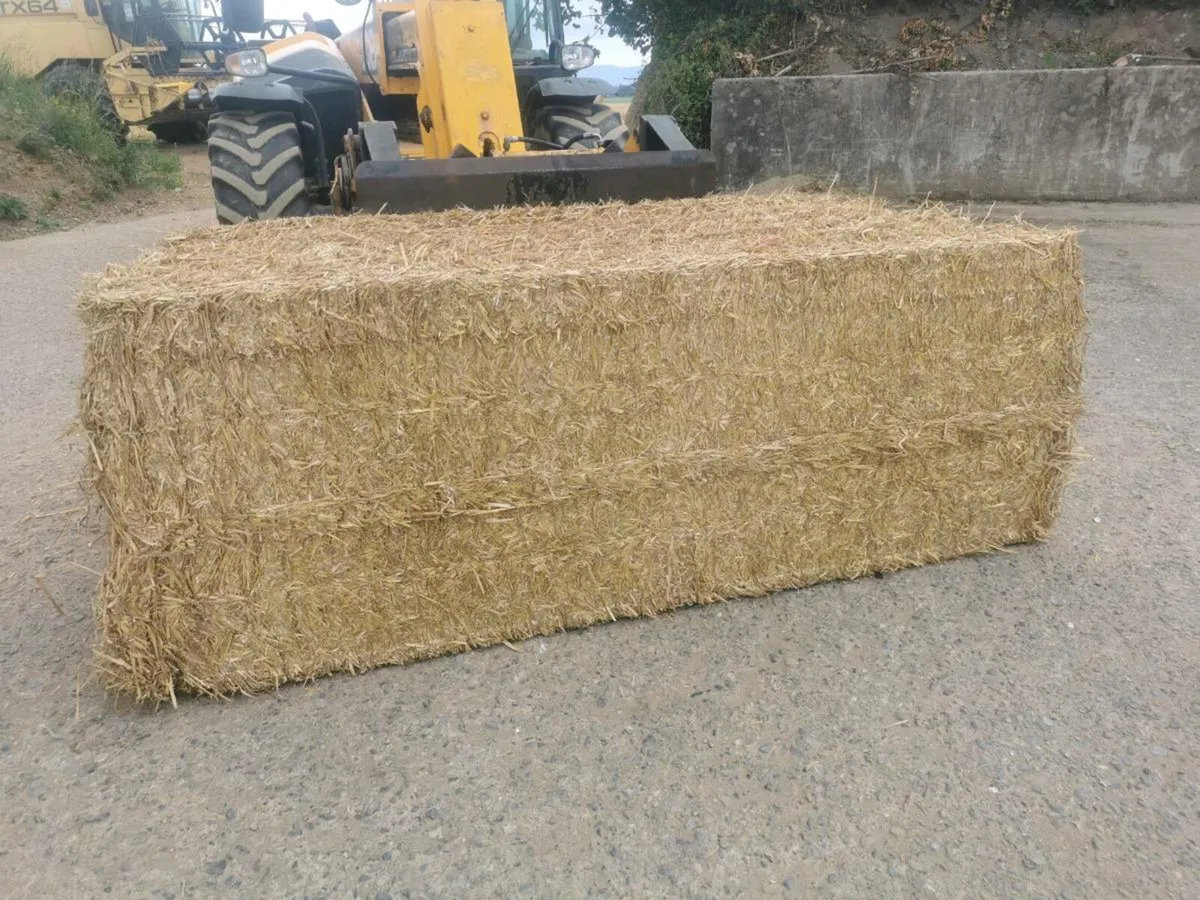 Maize bales, Wheaten straw, Enermax beet - Image 2
