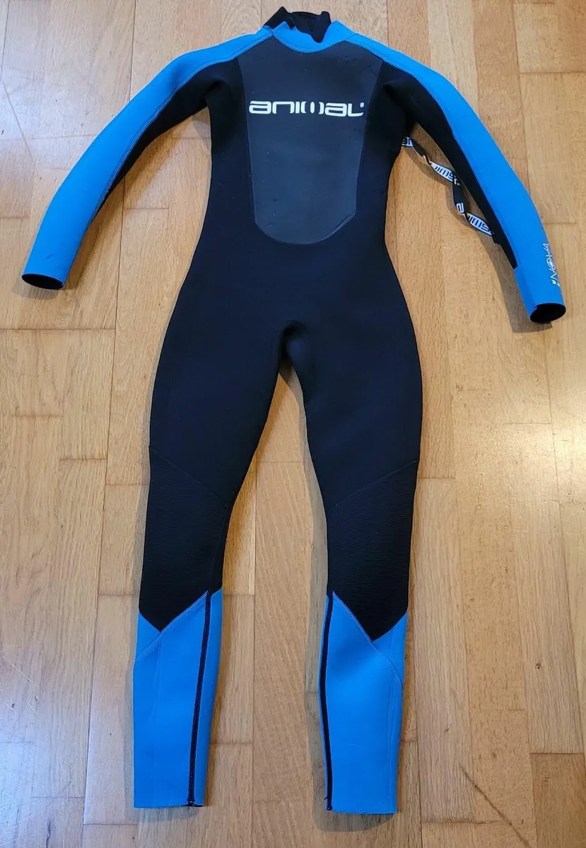 Wetsuit - Image 1
