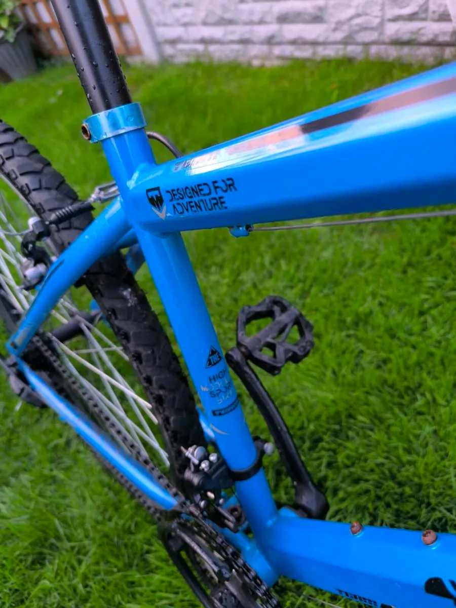 Team bike - Image 2