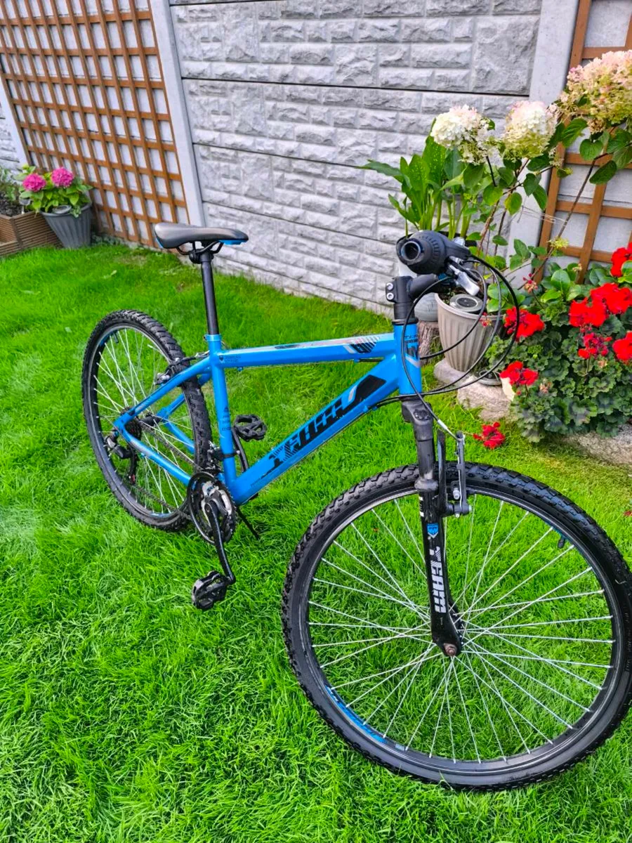 Team bike - Image 4