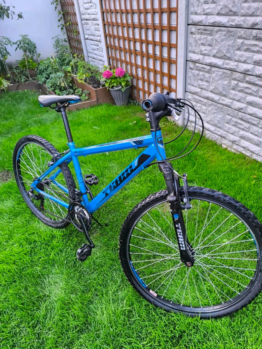 Team bike - Image 1