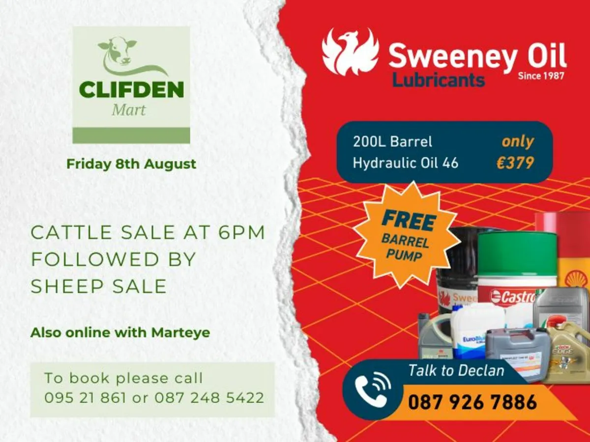 Cattle Sale in Clifden Mart