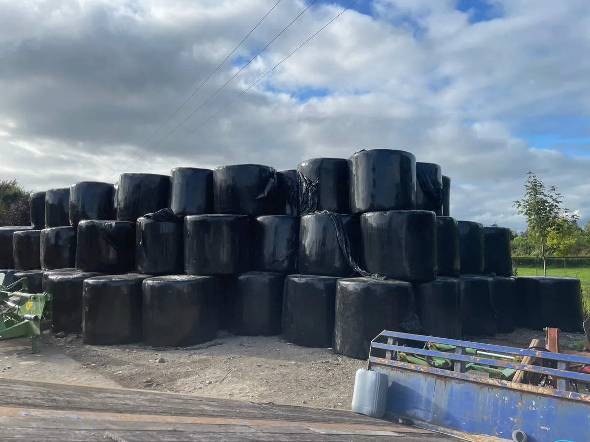 300+ bales of silage - Image 1