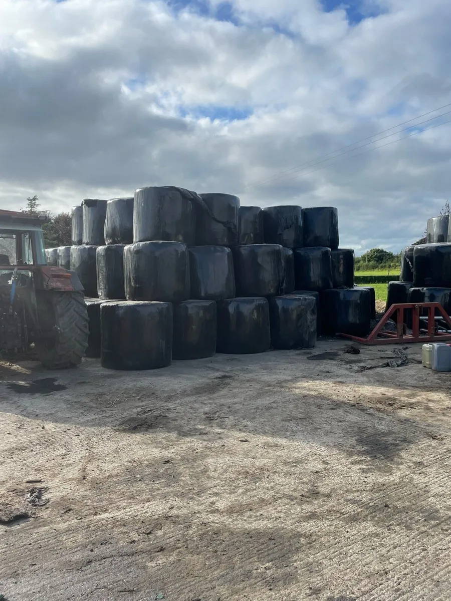 300+ bales of silage - Image 2