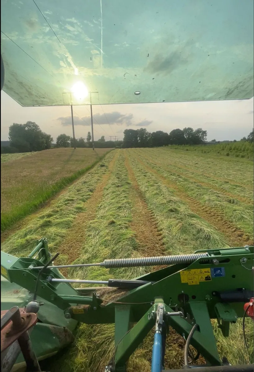 300+ bales of silage - Image 3