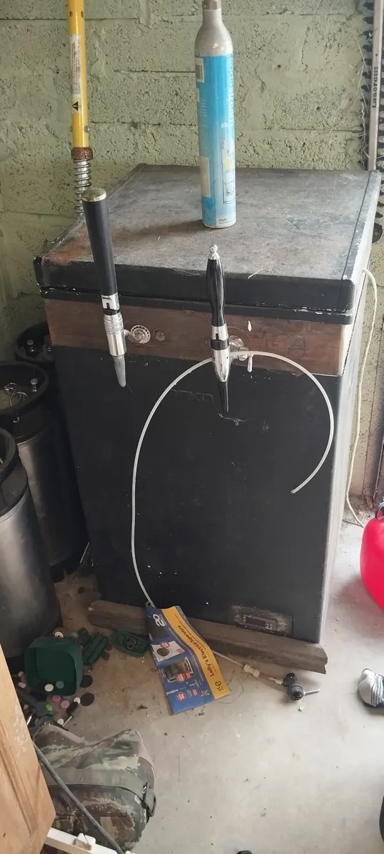 Home brew  corny kit - Image 4