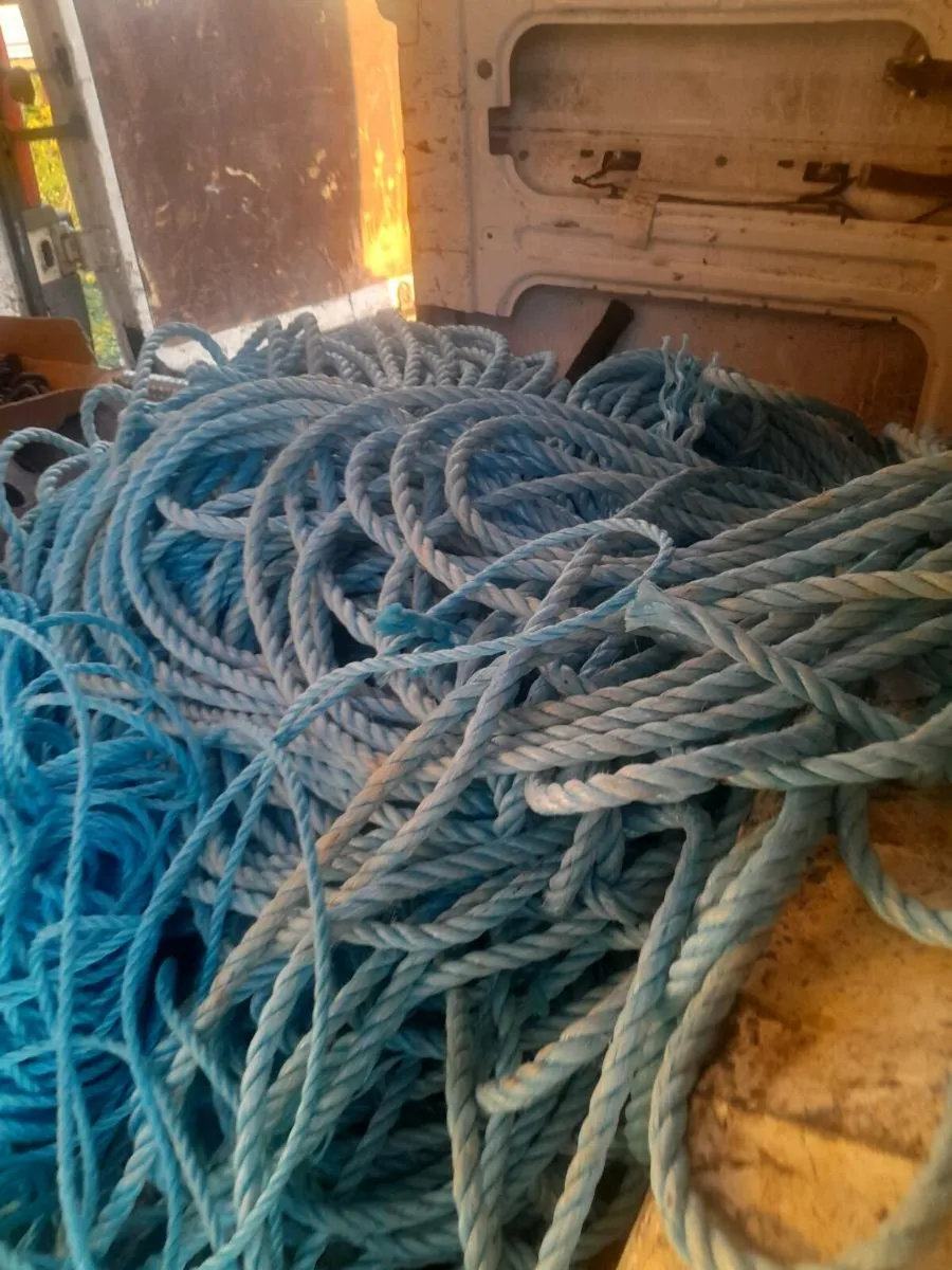 Roles of rope hungry - Image 1