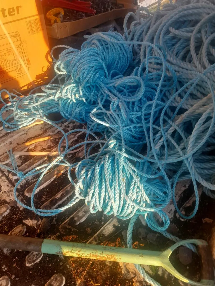 Roles of rope hungry - Image 2