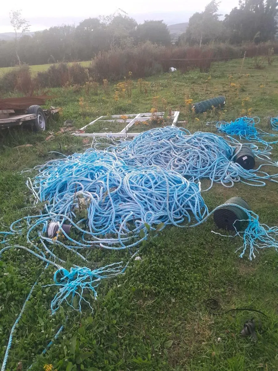 Roles of rope hungry - Image 3