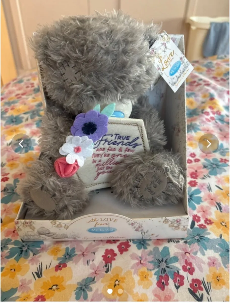 True friend Teddy - Image 1