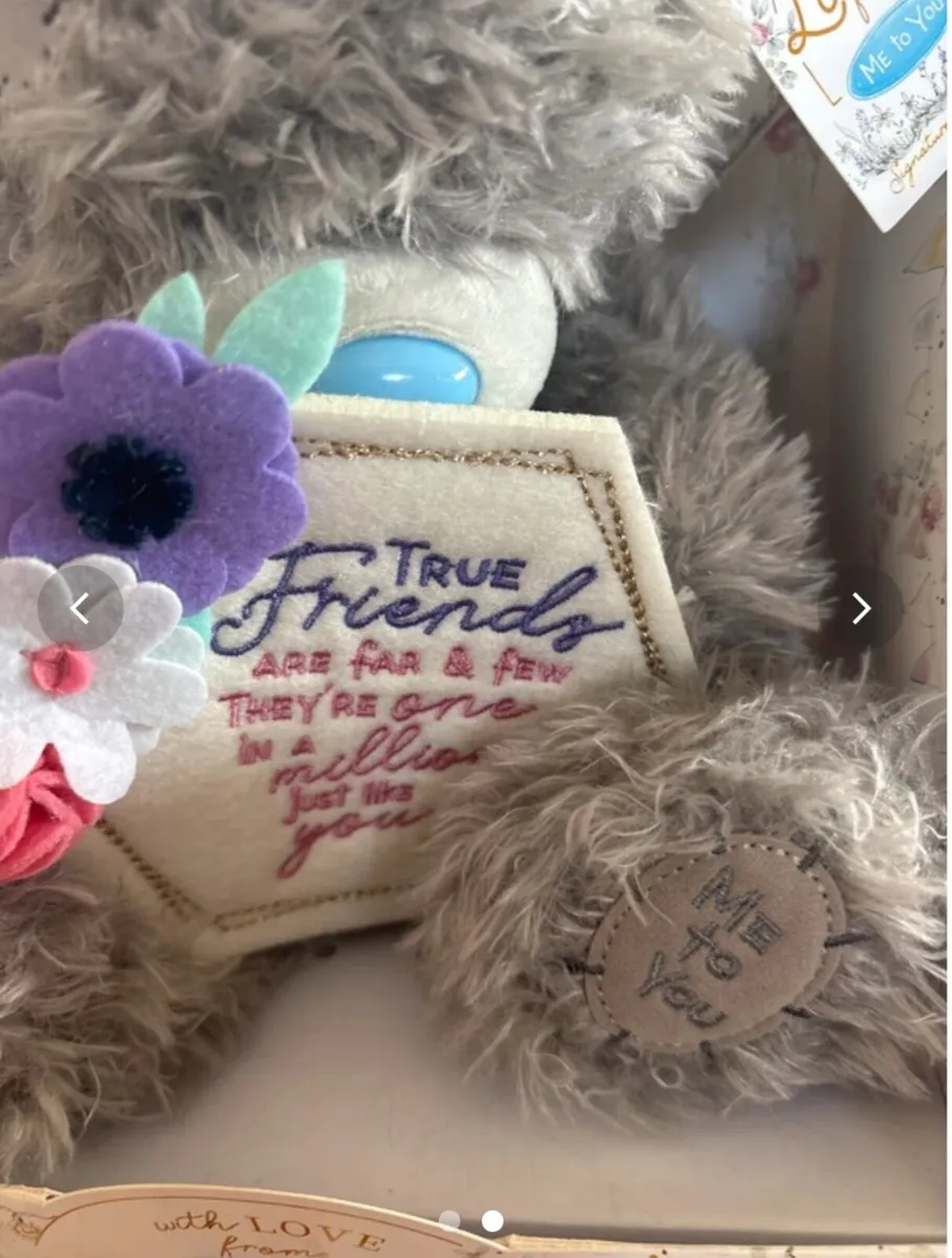 True friend Teddy - Image 2