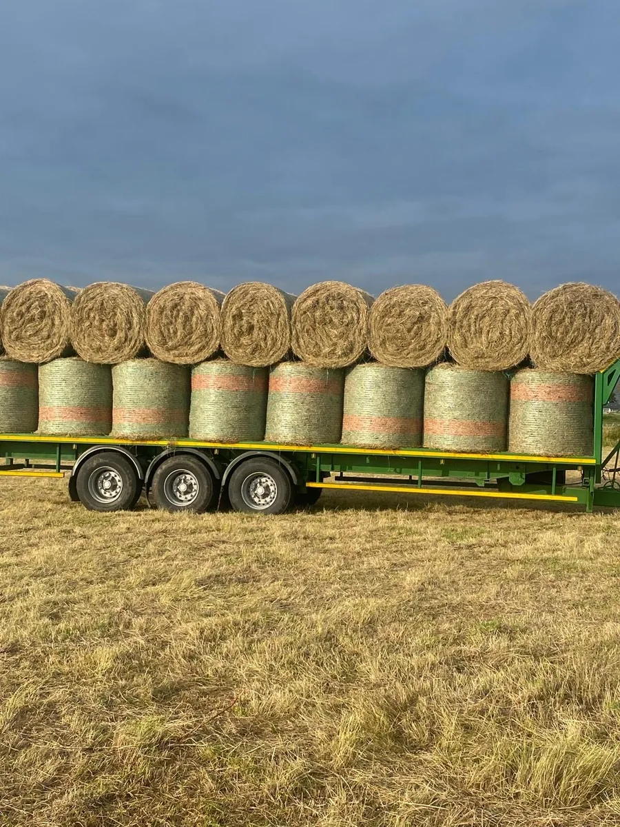 Bales of Hay - Image 1